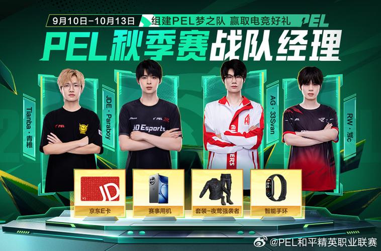 pel战队经理游戏