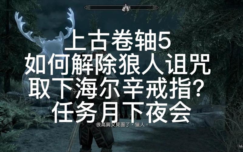 上古卷轴5月下夜会任务怎么选