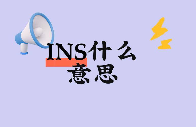 啥意思ins