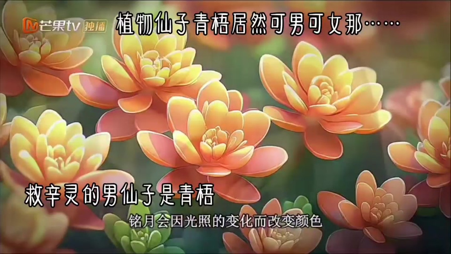 植物魔法精灵门