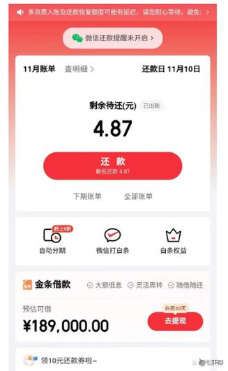 京东白条莫名其妙多了一笔账单