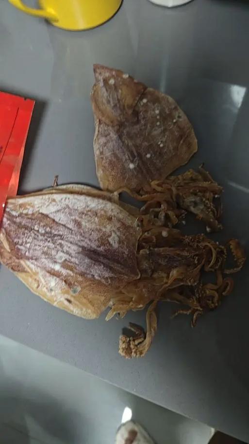 鱿鱼变质的样子图片
