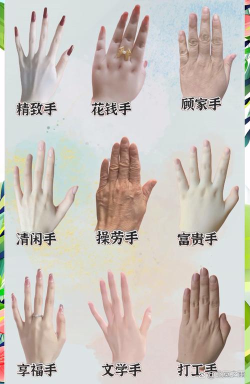看看你是什么手