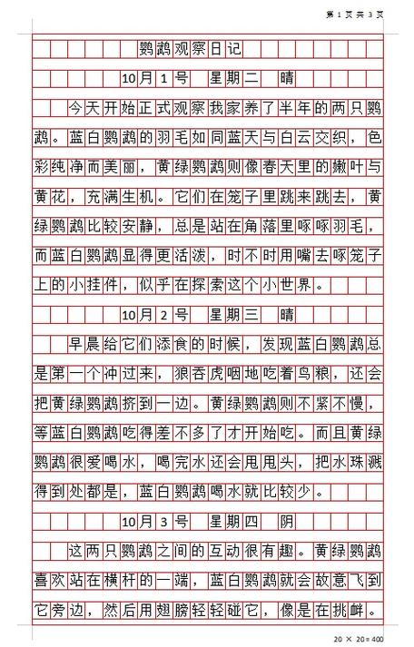 观察记录表的内容