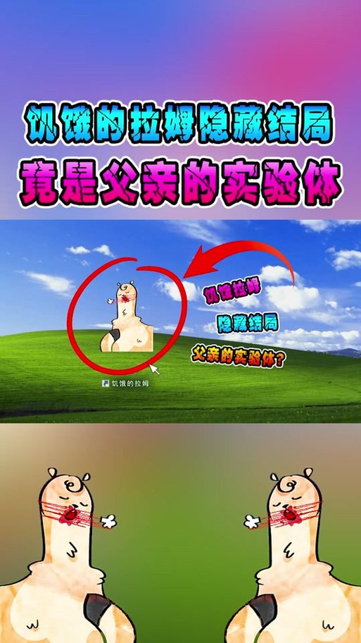 羊驼先生怎么样