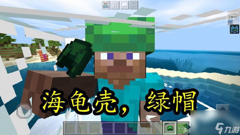 我的世界满级龟壳帽