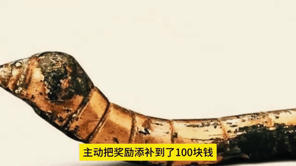 一级文物上交给多少钱