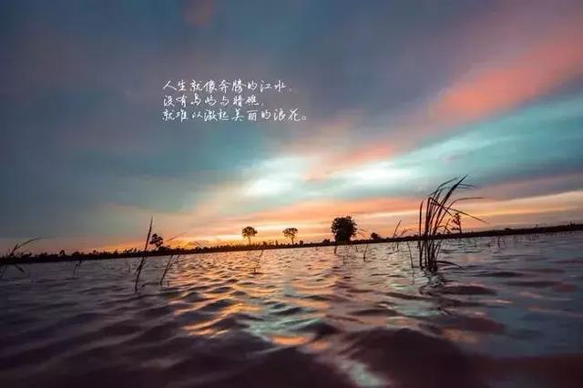 看了好文章的感想短语
