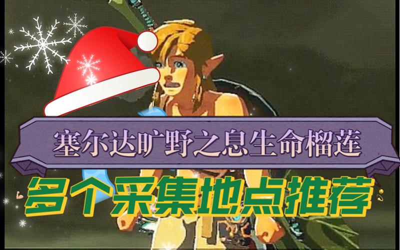 荒野之息生命榴莲