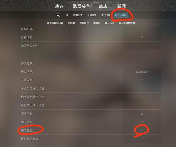 csgo游戏麦克风设置方法