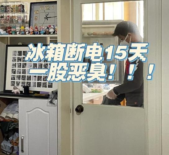 冰箱闲置一年不通电会不会坏