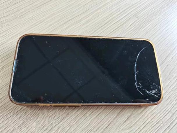手机屏幕能亮但是触屏没反应