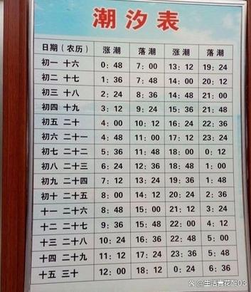 京唐港潮汐表2026今天