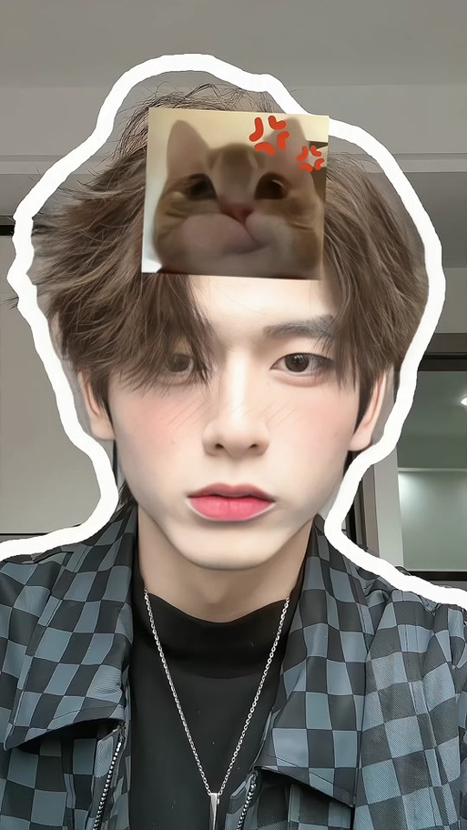 猫脸特效视频