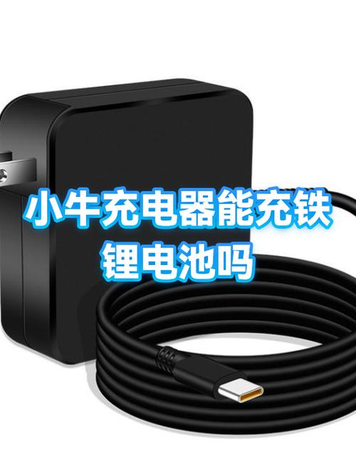 小牛电池可以在家里充电吗