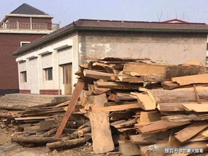 砍树100一吨可以做吗