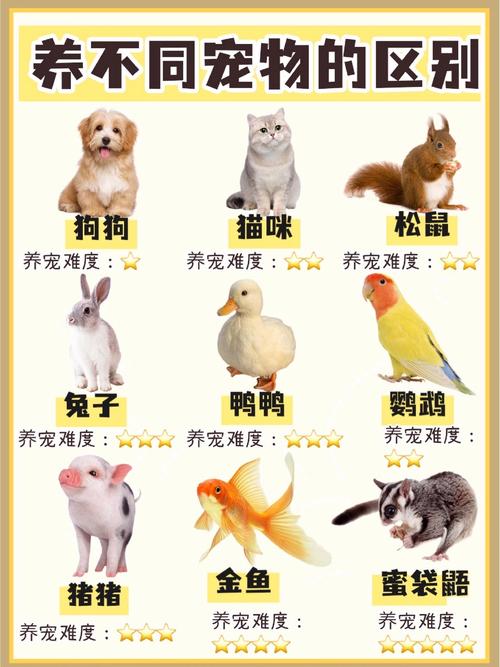 迷你世界里如何免费养宠物