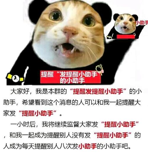 取消关注后再关注有提醒吗