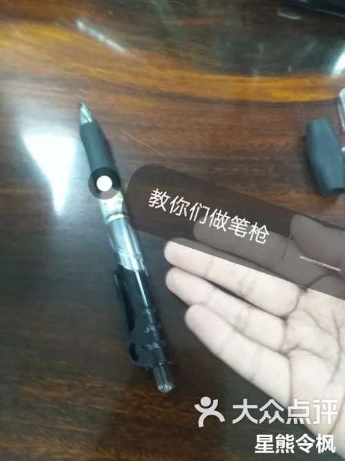 一支笔一把枪