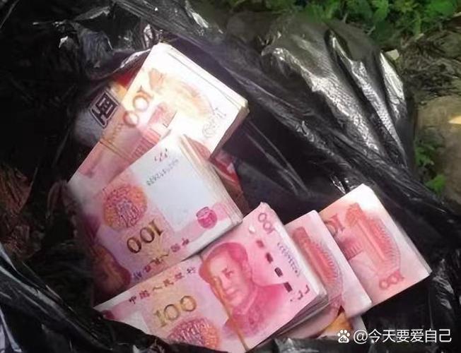 捡到的钱要全部花完吗截图