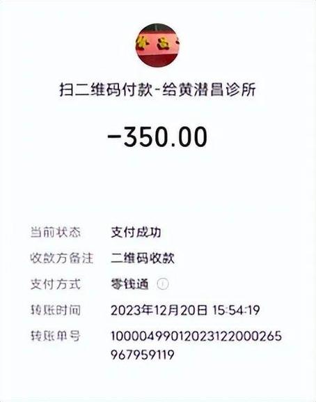 付款记录p图