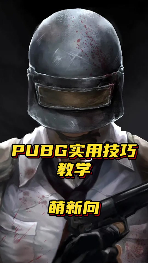 国际服国体辅助下载