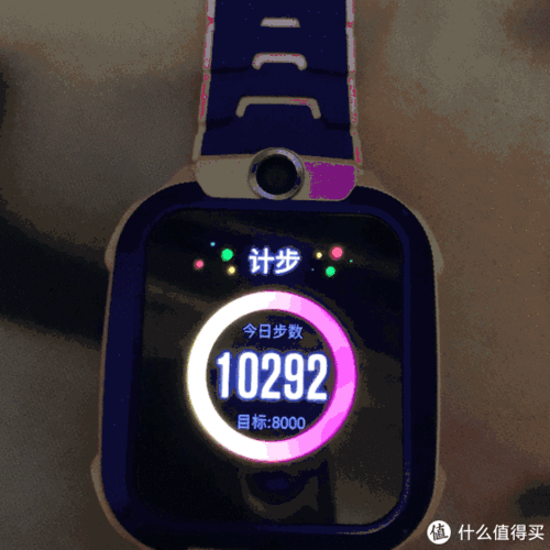 行走步数与能量