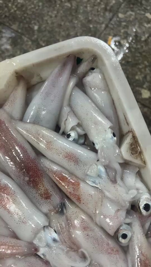 鱿小截图