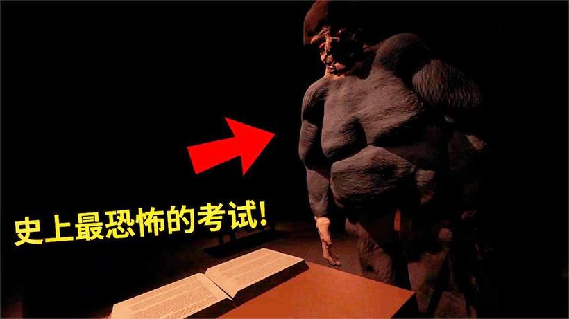 薄海纸鱼第一个视频