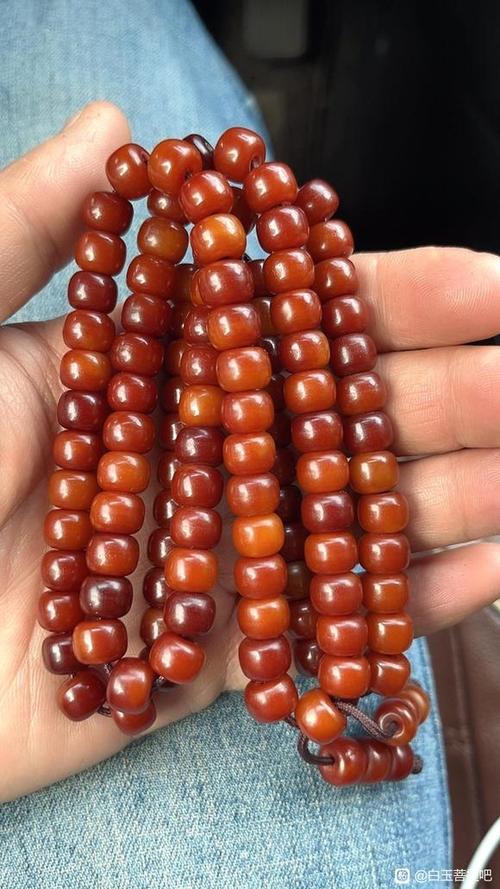 白玉菩提图片大全大图