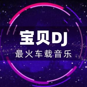 宝贝音乐网DJ