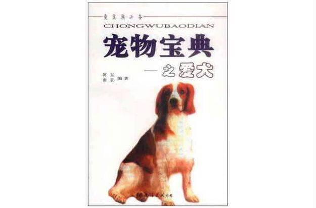 适合室内养的50种小动物