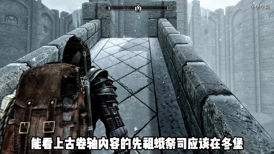 老滚5解除随从数量限制