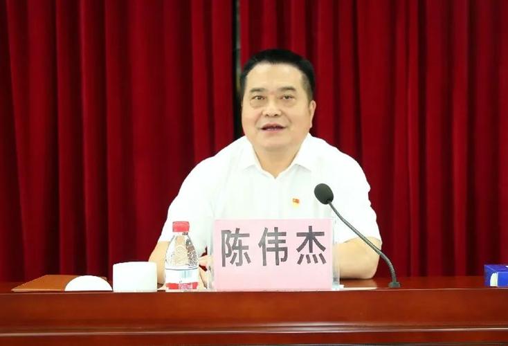 陈伟杰个人资产