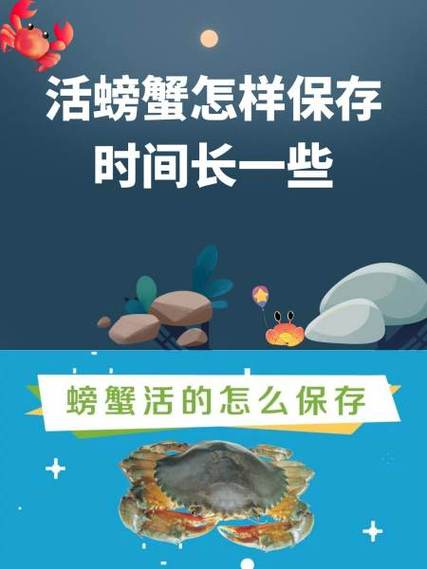 活存几个点