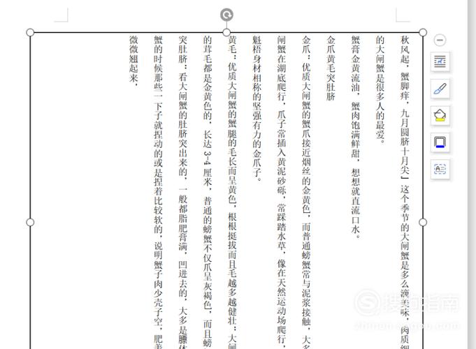 竖排文本框怎么设置