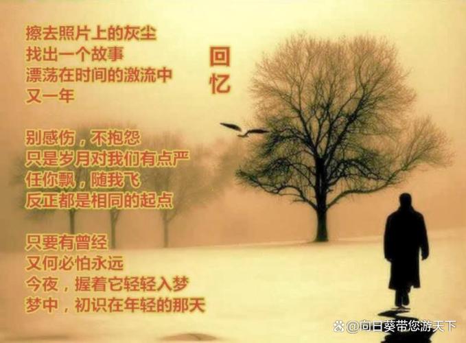 想念一个陌生人