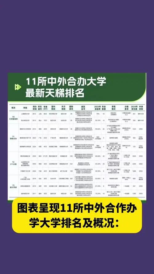500分左右中外合作的大学