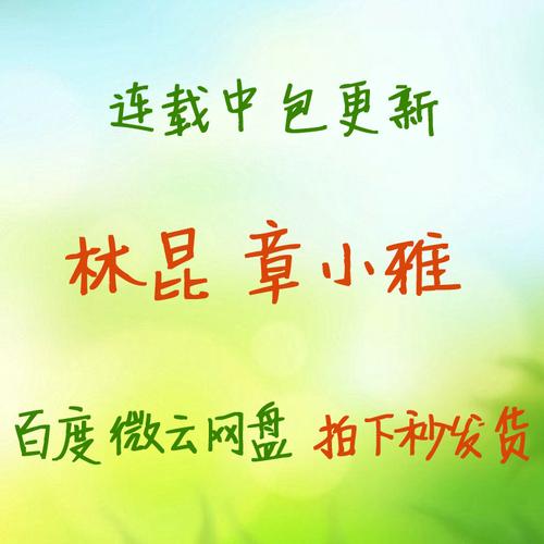 超级都市奶爸林昆全集目录截图