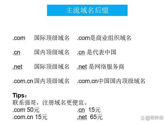 一个域名多少钱