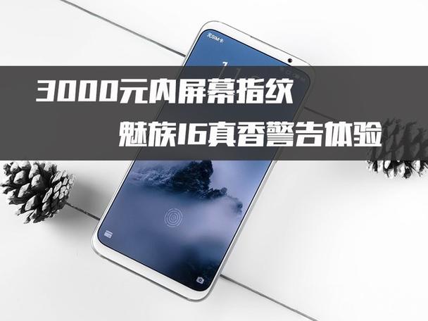 魅族16屏幕部分触控失灵