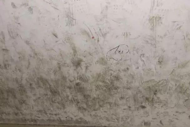 白墙蹭黑了怎么去除