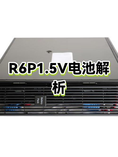 r6p是什么电池