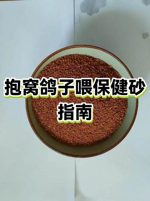 鸽子保健砂正确喂法