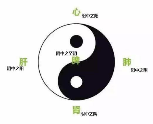 阴阳失衡的十大表现截图
