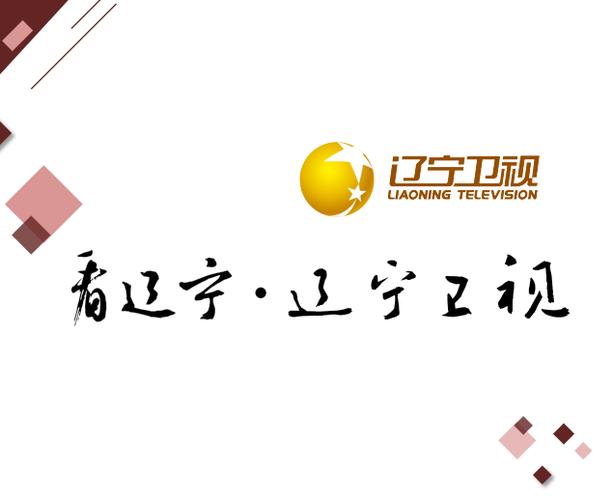 辽宁卫视直播手机观看缩略图