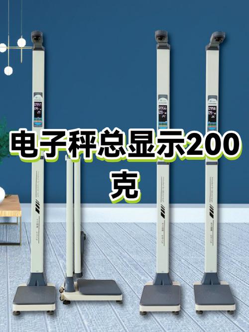 电子秤最大称重多少