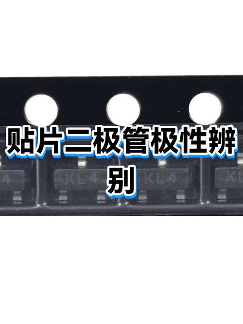 一黑一白哪个是正负极