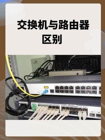 路由器和交换机的区别是什么