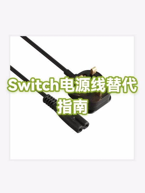 switch的usb能插什么